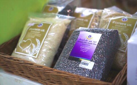 CMU Map Product CMU107