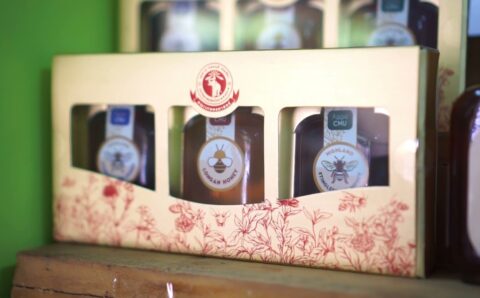 CMU Map Product Honey Set