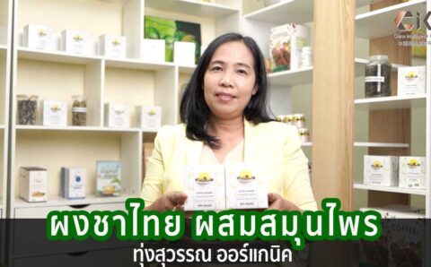 Product ผงชาไทยผสมสมุนไพร ทุ่งสุวรรณ ออร์แกนิค