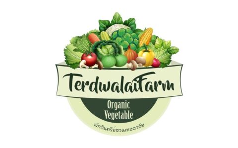 Product ผงผัก Organic Terdwalai Farm