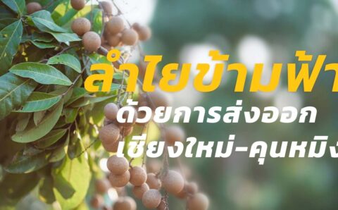 ลำไยข้ามฟ้า